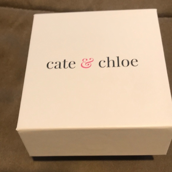 LAST PRICE!BNIB Cate & Chloe Bianca 18K WG Plate Swarovski Crystal Hoop Earrings - Picture 2 of 5